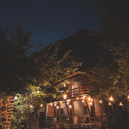 Guesthouse Pashko Теті Екстер'єр фото