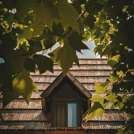 Guesthouse Pashko Теті Екстер'єр фото